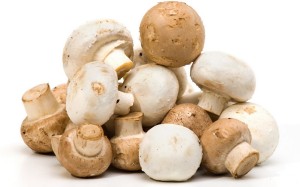producto-champinon