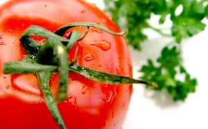 producto-tomate